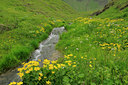 BUITEN BEELD Foto: 101393