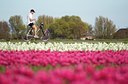BUITEN BEELD Foto: 101448
