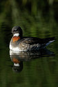 BUITEN BEELD Foto: 101480