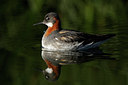 BUITEN BEELD Foto: 101481