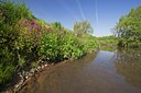 BUITEN BEELD Foto: 101535