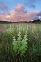 BUITEN BEELD Foto: 101544