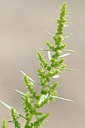BUITEN BEELD Foto: 101611