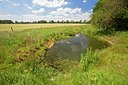 BUITEN BEELD Foto: 101639