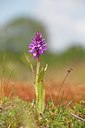 BUITEN BEELD Foto: 101642