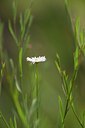BUITEN BEELD Foto: 101688
