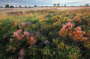 BUITEN BEELD Foto: 101726