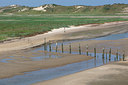 BUITEN BEELD Foto: 101778