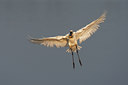 BUITEN BEELD Foto: 101787