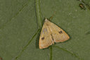 BUITEN BEELD Foto: 101869