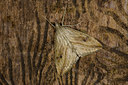 BUITEN BEELD Foto: 101873