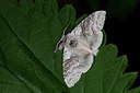 BUITEN BEELD Foto: 101898