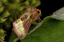 BUITEN BEELD Foto: 101924