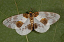 BUITEN BEELD Foto: 102038