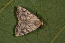 BUITEN BEELD Foto: 102040
