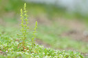 BUITEN BEELD Foto: 102048