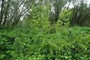 BUITEN BEELD Foto: 102054