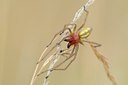 BUITEN BEELD Foto: 102056