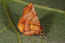 BUITEN BEELD Foto: 102124