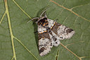 BUITEN BEELD Foto: 102141