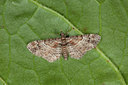 BUITEN BEELD Foto: 102286