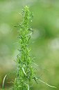 BUITEN BEELD Foto: 102329