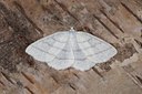 BUITEN BEELD Foto: 102355
