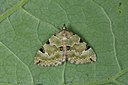 BUITEN BEELD Foto: 102357