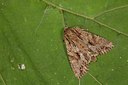 BUITEN BEELD Foto: 102406