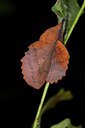 BUITEN BEELD Foto: 102428