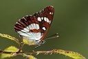 BUITEN BEELD Foto: 102455