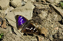 BUITEN BEELD Foto: 102520