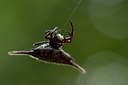 BUITEN BEELD Foto: 102551