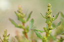 BUITEN BEELD Foto: 102667