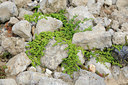 BUITEN BEELD Foto: 102669