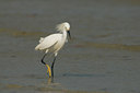 BUITEN BEELD Foto: 102699
