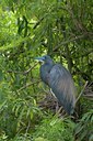 BUITEN BEELD Foto: 102702