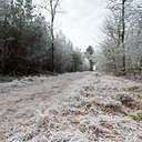 BUITEN BEELD Foto: 102730