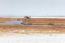BUITEN BEELD Foto: 102733