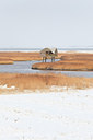 BUITEN BEELD Foto: 102734