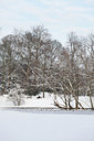 BUITEN BEELD Foto: 102737