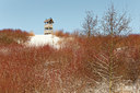 BUITEN BEELD Foto: 102755