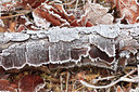 BUITEN BEELD Foto: 102761