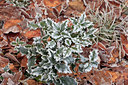 BUITEN BEELD Foto: 102762
