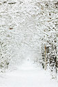 BUITEN BEELD Foto: 102764
