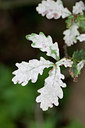 BUITEN BEELD Foto: 102785