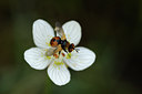 BUITEN BEELD Foto: 102816
