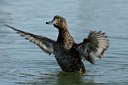 BUITEN BEELD Foto: 102826