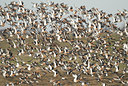 BUITEN BEELD Foto: 102891