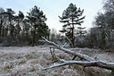 BUITEN BEELD Foto: 102951